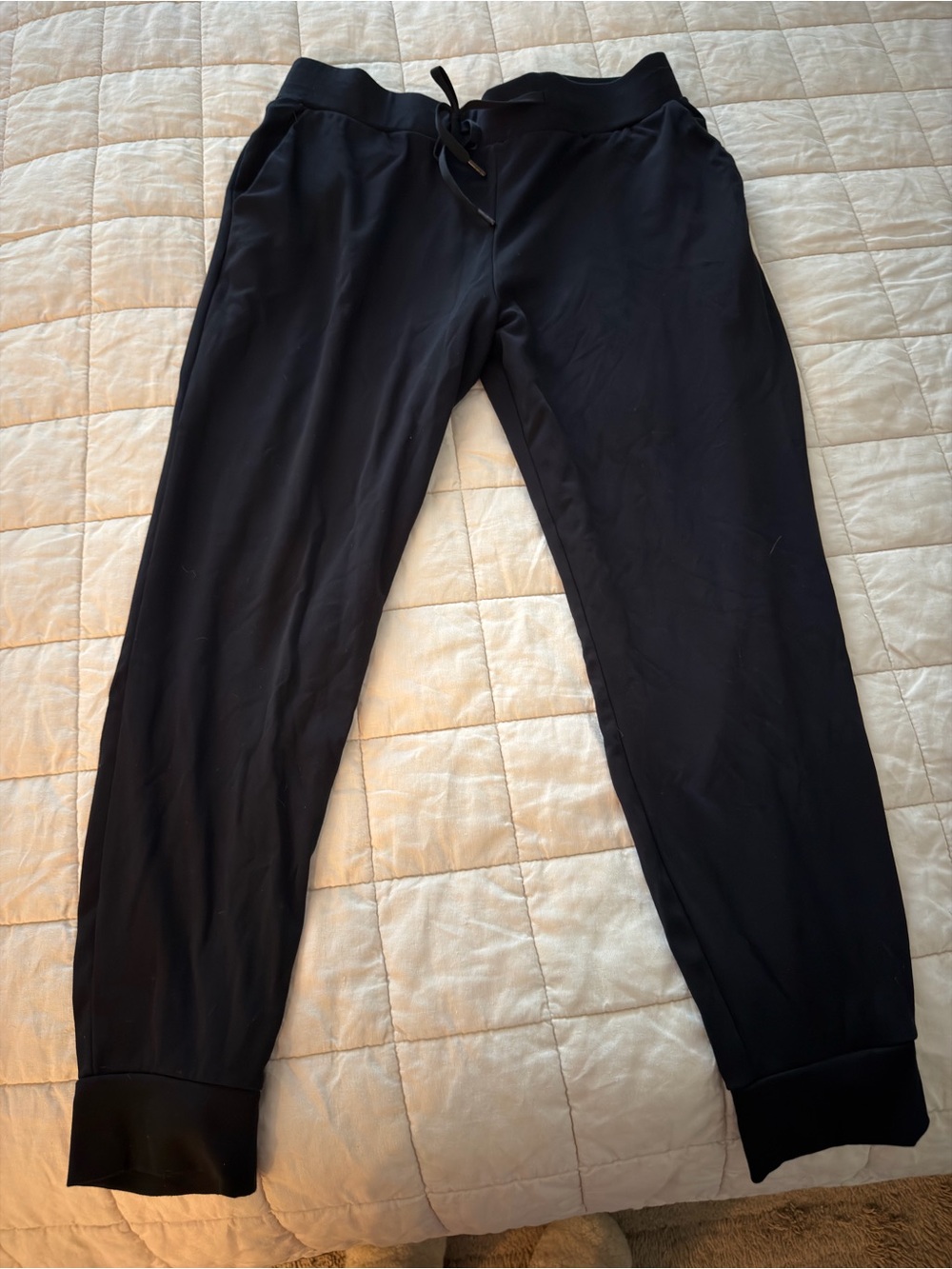 Cozy Earth Joggers